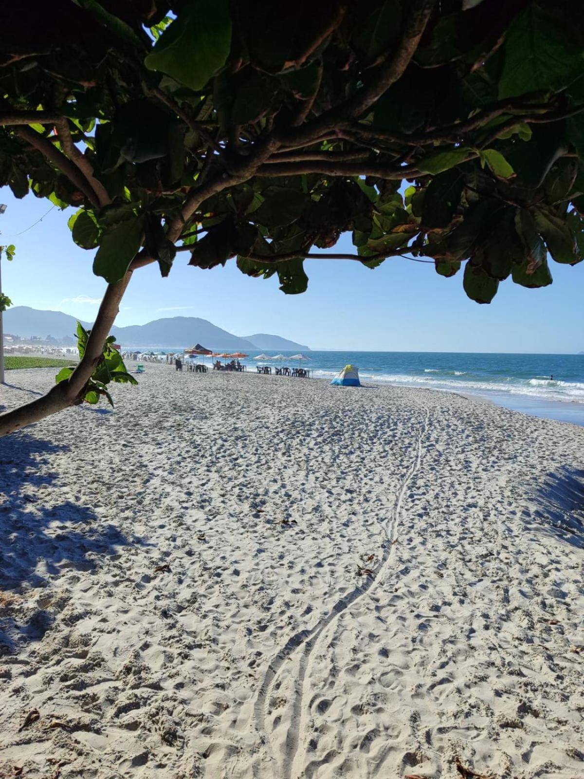 Apartamento De 2 Dormitorios Florianópolis Exteriér fotografie
